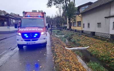 Gewässerverunreinigung im Aubach nach Ölaustritt aus LKW